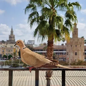 Betis Del Oro Hébergement de vacances